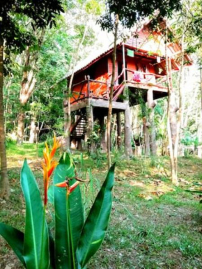 Treehouse Holidays-Garden View